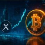 The DMD Diamond Project Announces the Creation of an Association to Support and Develop the Decentralized Ecosystem